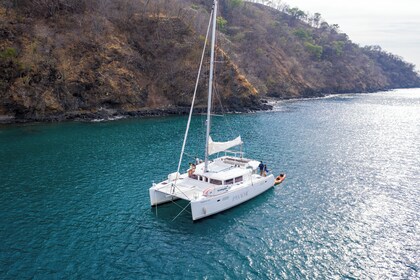 #1 Catamarán matutino: Experiencia Todo Incluido de 4 Horas en Costa Rica