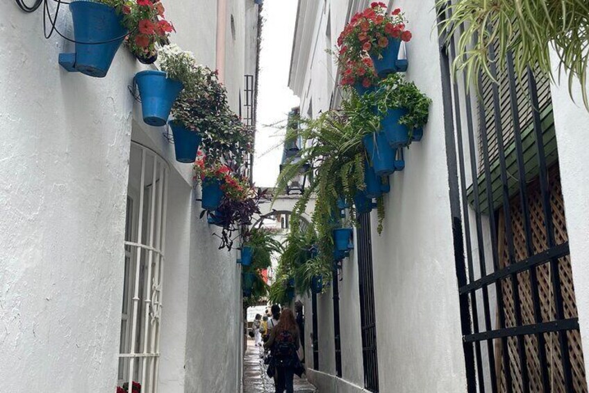 Cordoba Highlights Private Walking Tour