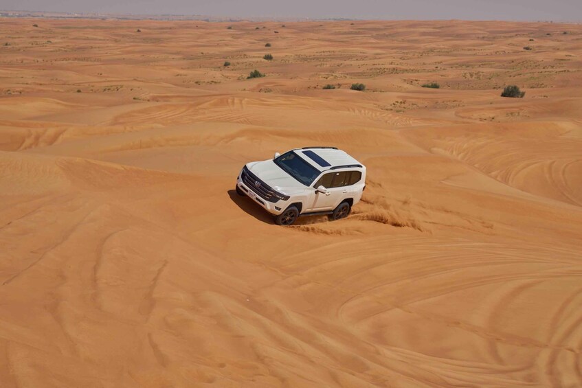 Picture 12 for Activity Dubai: Desert Safari, Camel Ride, Special Show, Gourmet Food