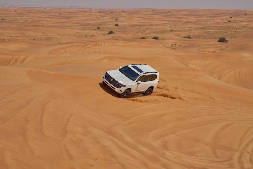 Picture 12 for Activity Dubai: Desert Safari, Camel Ride, Special Show, Gourmet Food