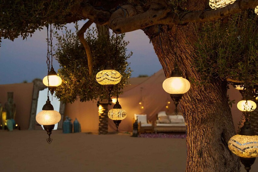 Picture 21 for Activity Dubai: Desert Safari, Camel Ride, Special Show, Gourmet Food