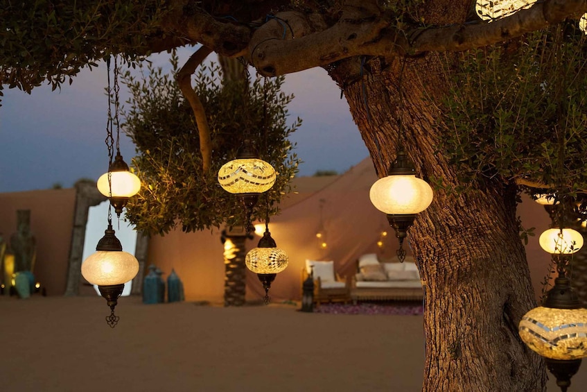 Picture 21 for Activity Dubai: Desert Safari, Camel Ride, Special Show, Gourmet Food