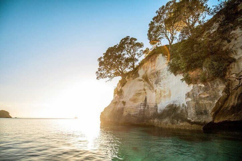 Coromandel Cathedral Cove and Hot Water Beach Day Tour