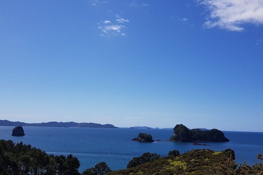 Coromandel Cathedral Cove Walk & Hot Water Beach Day Tour