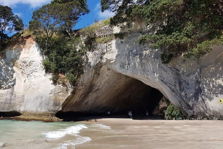Coromandel Cathedral Cove Walk & Hot Water Beach Day Tour