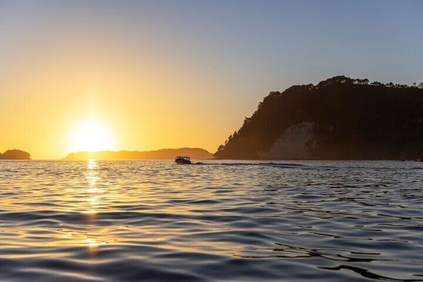 Coromandel Cathedral Cove and Hot Water Beach Day Tour