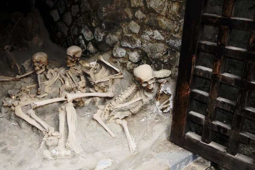 Herculaneum Small Group Tour