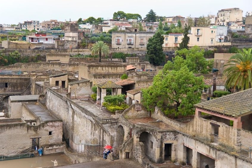 Herculaneum Small Group Tour