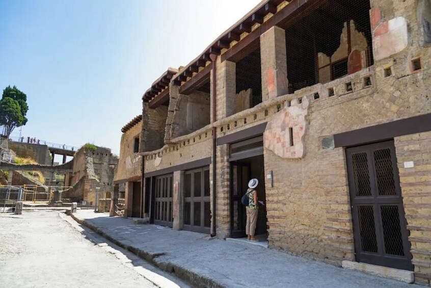 Herculaneum Small Group Tour
