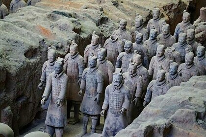 Exclusive Xi'an 3 Days 2 Nights Terra-cotta Warriors Private Tour