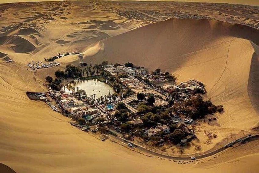 Full Day Tour in Ica Paracas and Huacachina from Lima