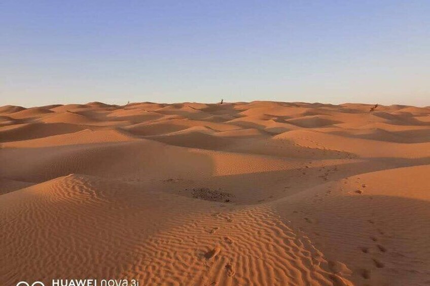 2 Days 1 Night in the Sahara 75km Private