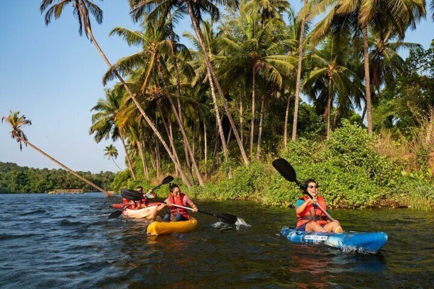 Backwater Kayaking Experience