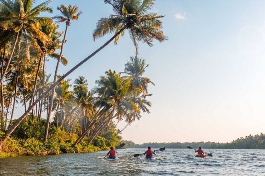 Backwater Kayaking Experience