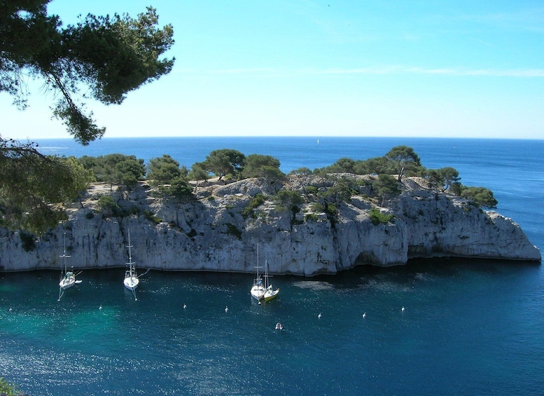 Picture 2 for Activity From Aix-en-Provence: Cassis Tour with Cap Canaille Stop