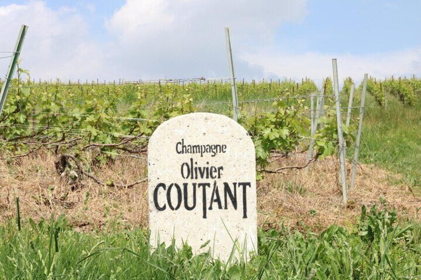 Champagne Domaine Coutant, Wine Discovery and Tasting