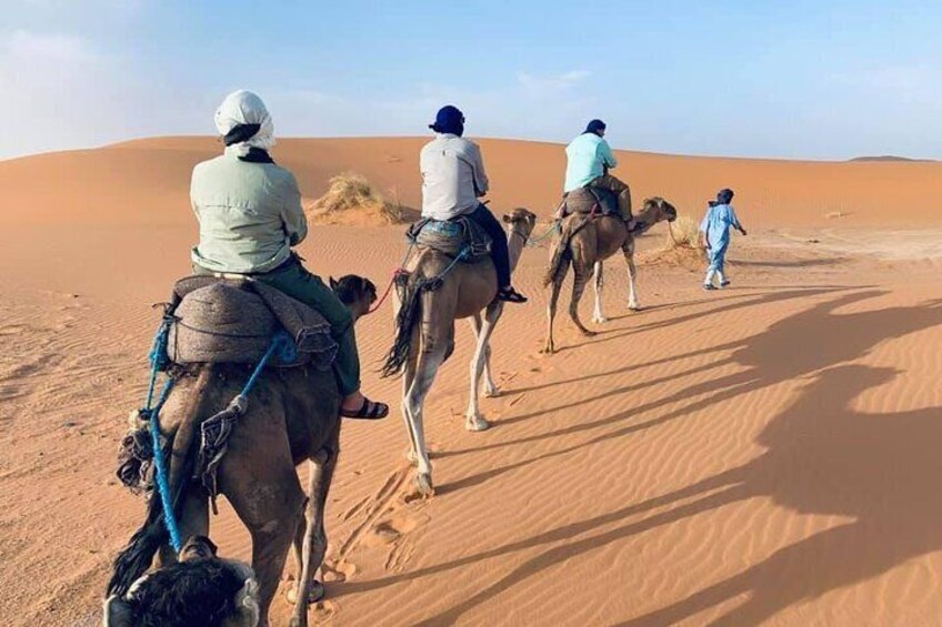 Camel trek to the overnight camp