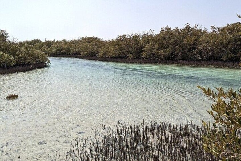Private Half Day Tour By Minibus To Ras Mohammed National Park 