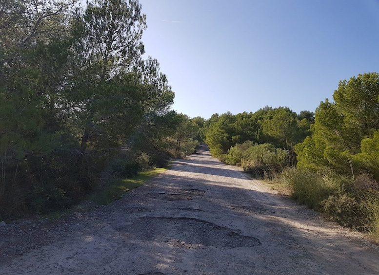 Picture 6 for Activity From Cala Millor/Sa Coma: Half-Day Mini Jeep Tour