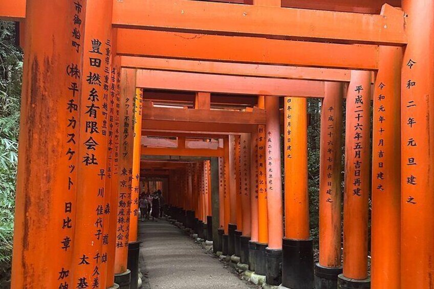 Kyoto Osaka Kyoto and Nara Customized Private Guided Tour