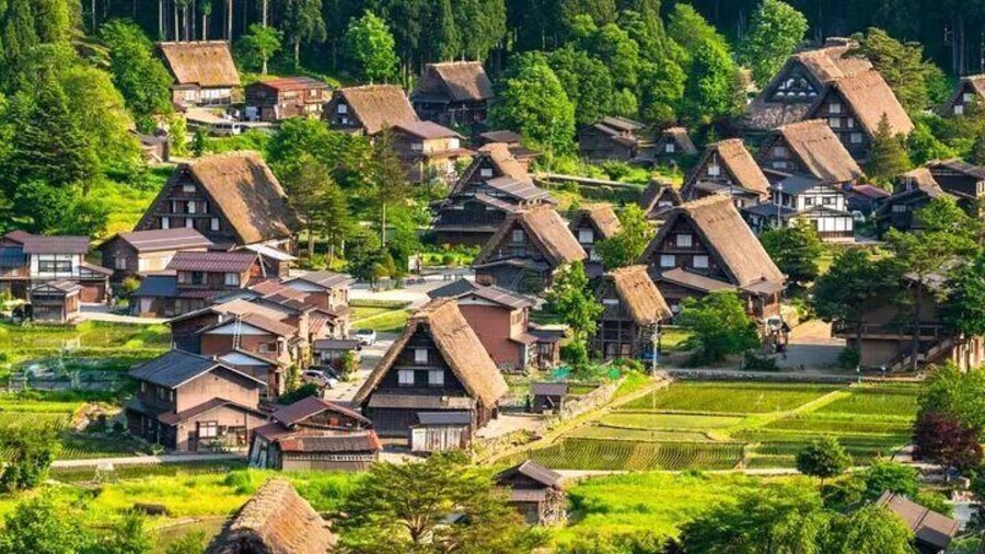 Shiragawa-go, Gassho Village, Summer