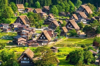 Nagoya to Hida Takayama, Shirakawa-go Gassho Village Day Tour