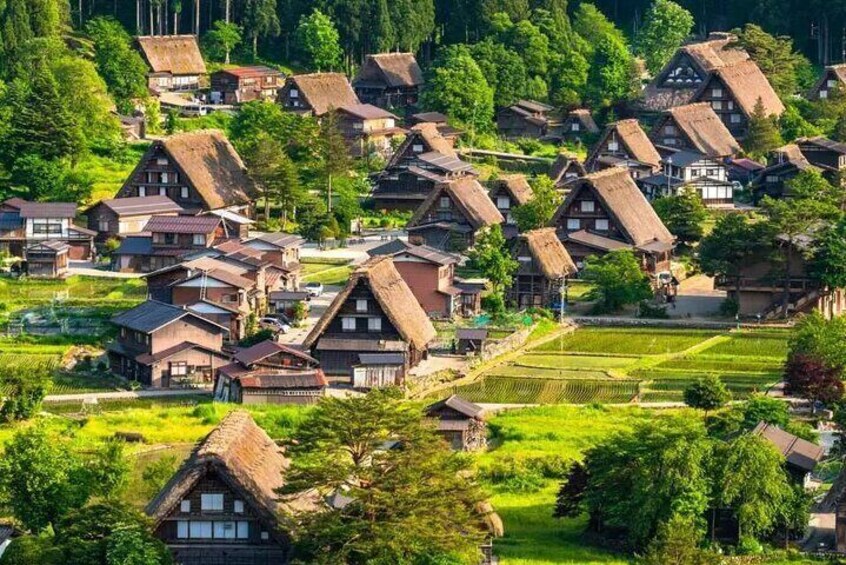 Shiragawa-go, Gassho Village, Summer