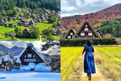 Visite d'une journée de Nagoya à Hida Takayama, Shirakawa-go Gassho Village