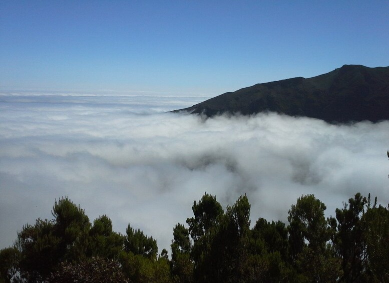 Picture 5 for Activity From Funchal: East Tour Madeira 4x4 Jipe Tour Santana Houses