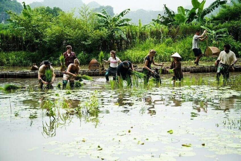 Explore Ninh Binh’s Beauty: One-Day Motorbike Exploration