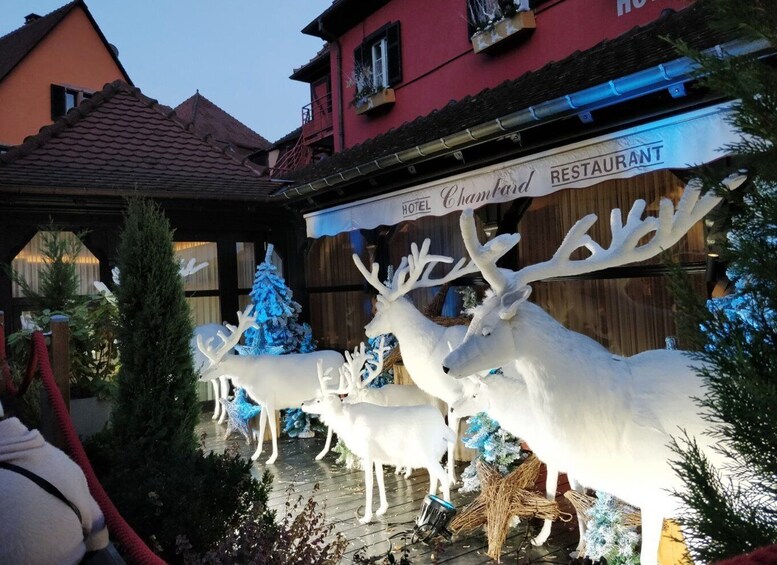 From Colmar: Christmas Markets Across 3 Borders