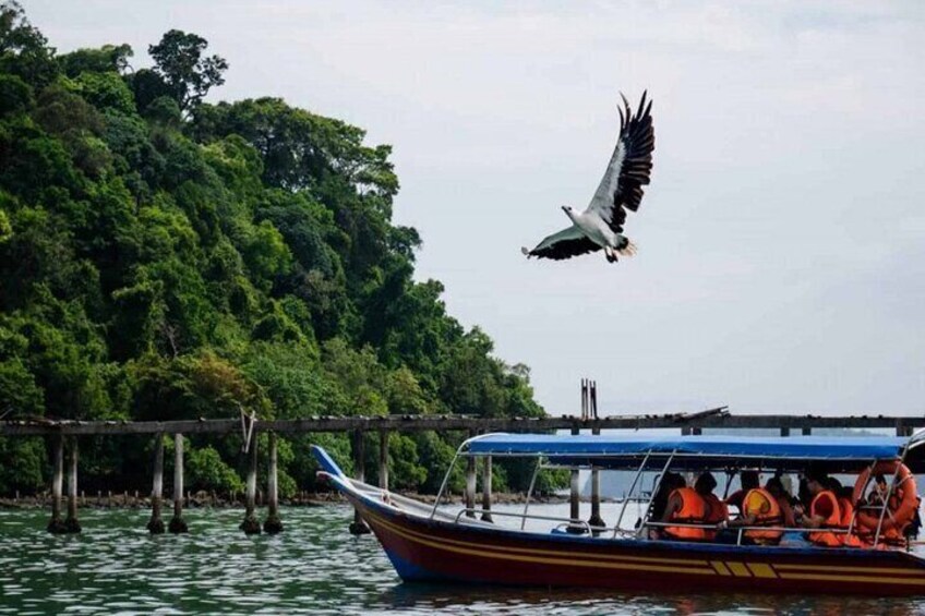 Private Half Day Langkawi Island Hopping By Boat