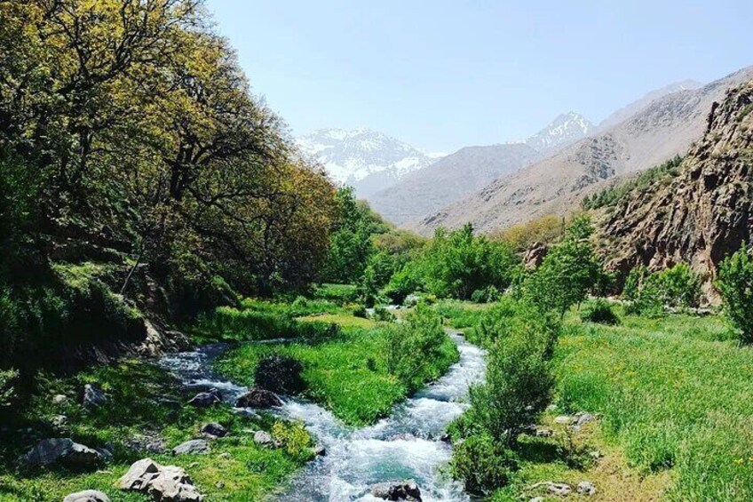 Waterfalls Ourika Day Trip From Marrakech