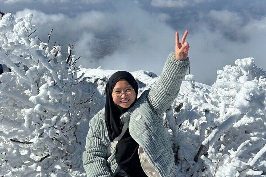 From Seoul Snow-Capped Beauty of Deogyusan National Park