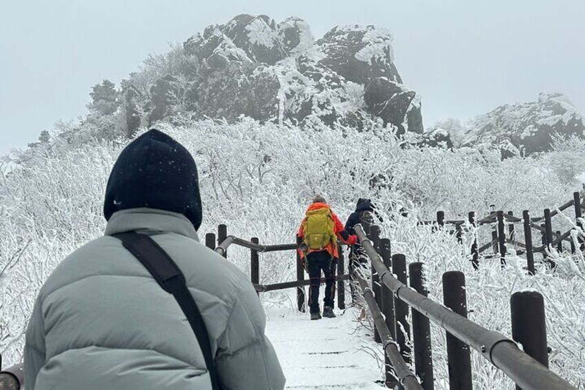 From Seoul Snow-Capped Beauty of Deogyusan National Park