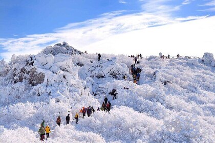 From Seoul Snow-Capped Beauty of Deogyusan National Park