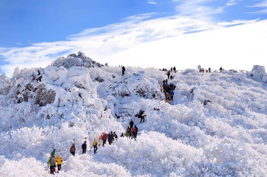 From Seoul Snow-Capped Beauty of Deogyusan National Park