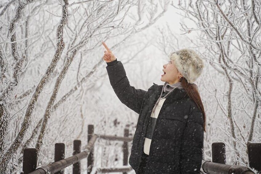 From Seoul Snow-Capped Beauty of Deogyusan National Park