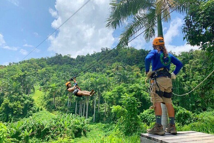 Ziplining at the Rainforest in Puerto Rico