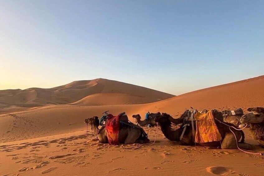 3 Day Tour in Sahara Desert of Merzouga from Agadir