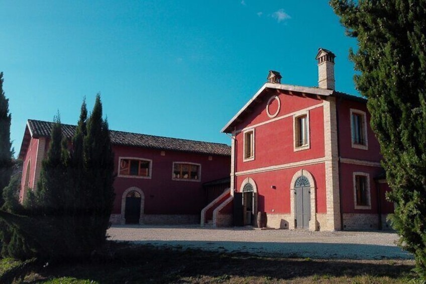 Cantina D'Erasmo