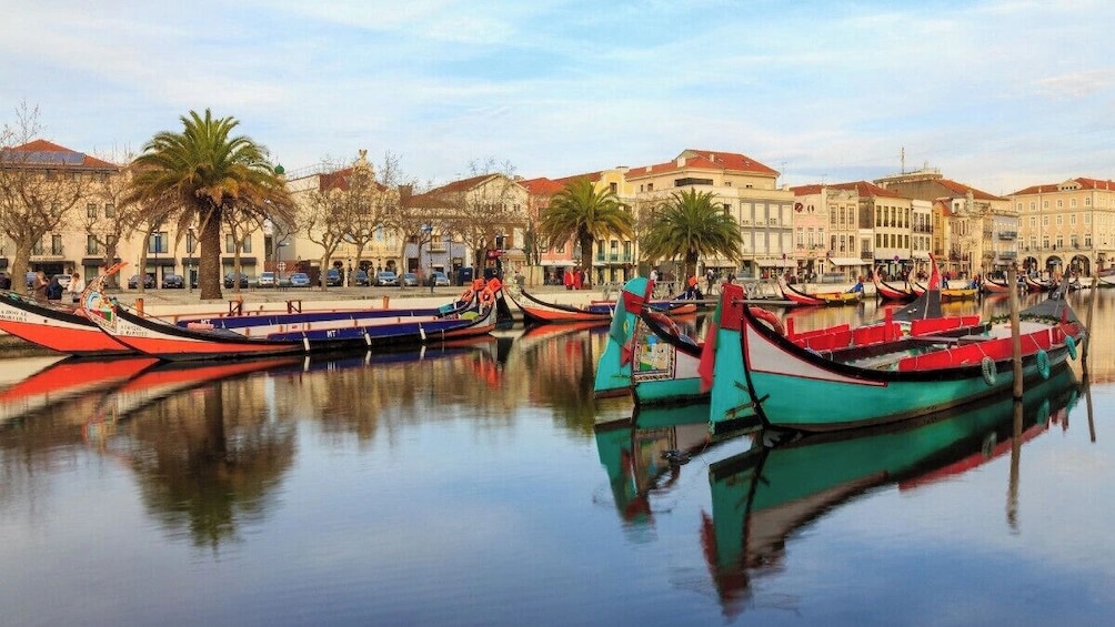 Private Aveiro and Coimbra Tour