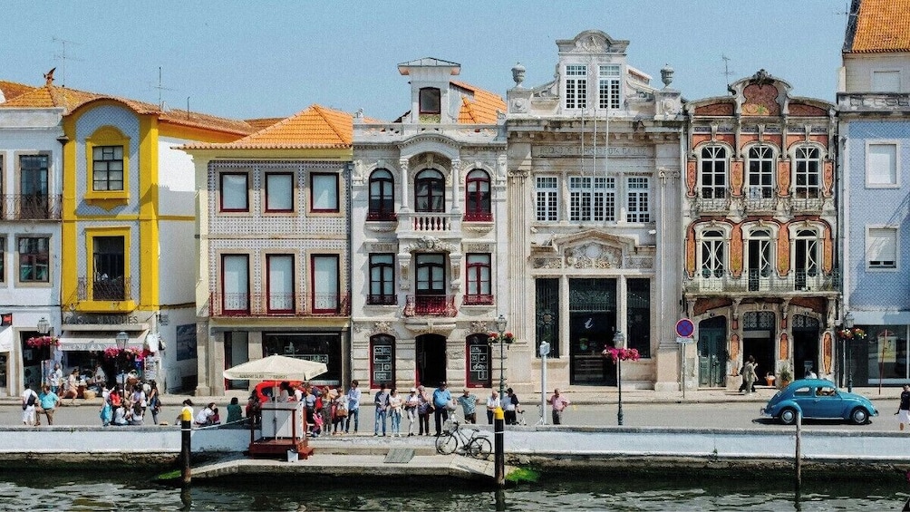 Private Aveiro and Coimbra Tour