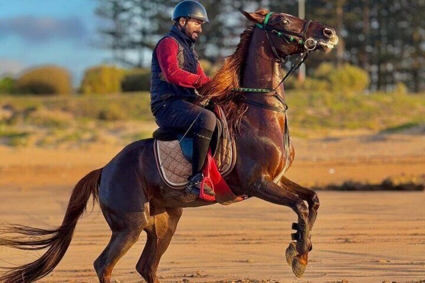 Horseback riding in Haouzia