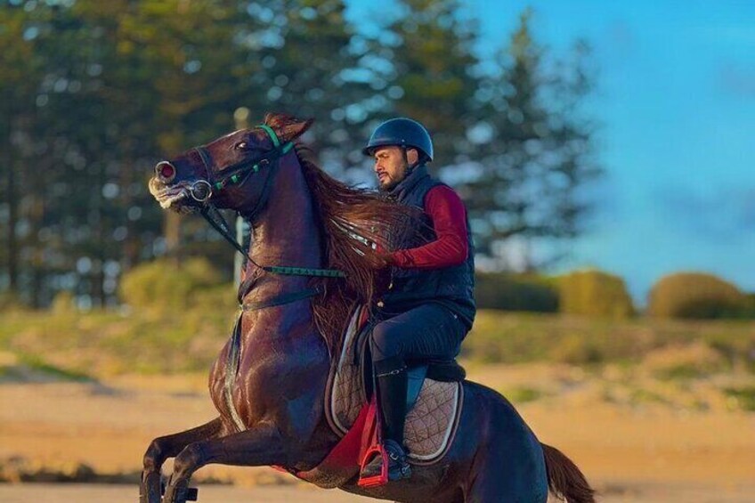 Horseback riding in Haouzia