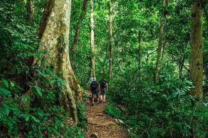 Ninh Binh: Trekking Explore the Heart of Cuc Phuong National Park