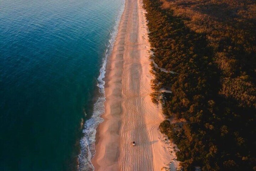 Bribie Island 4WD Beach Safari Nature and Adventure Combined