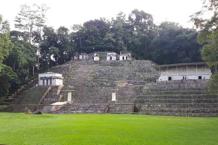 Picture 7 for Activity Bonampak & Yaxchilan archaeological sites & jungle