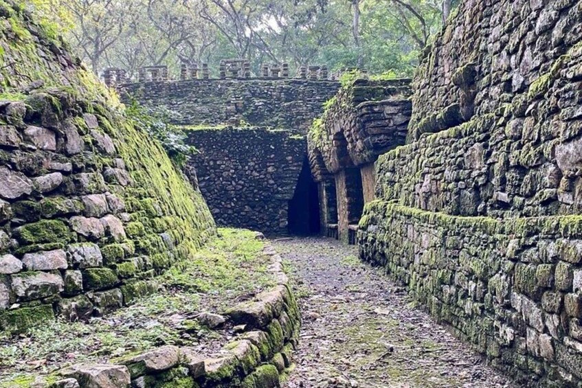 Picture 8 for Activity Bonampak & Yaxchilan archaeological sites & jungle