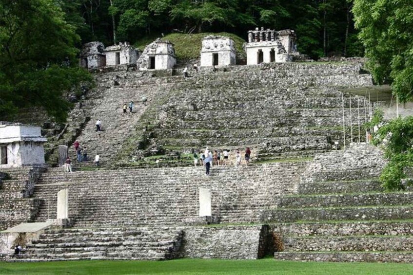 Picture 5 for Activity Bonampak & Yaxchilan archaeological sites & jungle